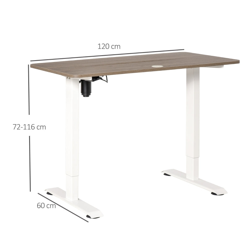 Vinsetto Secretária elétrica de pé Mesa ajustável em altura para escritório com 4 teclas de memória automática inteligente 120x60x72-116 cm moldura branca