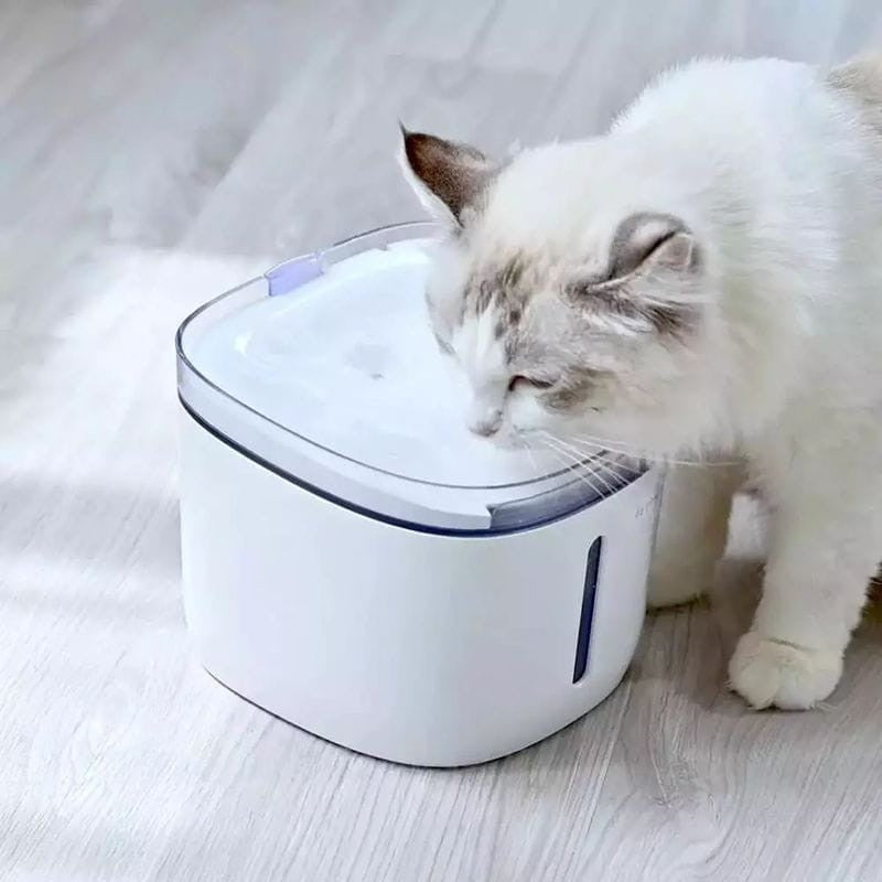 Bebedouro Petoneer Fresco Mini Plus Smart Pet Fountain