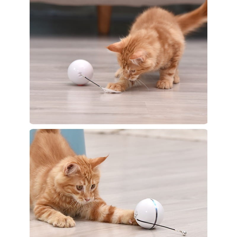Bola Interativa para Gatos com Luzes LED Branco