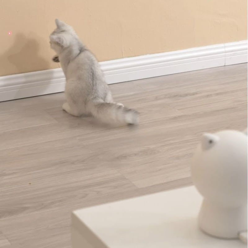 Petoneer Smart Dot - Brinquedo para gatos